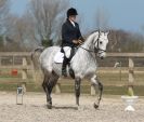 Image 86 in DRESSAGE. ICENI  SPORT  HORSES  AT  MARTHAM