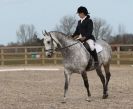 Image 88 in DRESSAGE. ICENI  SPORT  HORSES  AT  MARTHAM