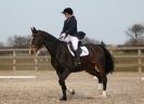 Image 93 in DRESSAGE. ICENI  SPORT  HORSES  AT  MARTHAM