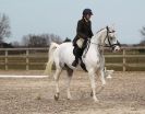 Image 95 in DRESSAGE. ICENI SPORT HORSES AT MARTHAM