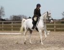 Image 95 in DRESSAGE. ICENI  SPORT  HORSES  AT  MARTHAM