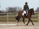 Image 96 in DRESSAGE. ICENI  SPORT  HORSES  AT  MARTHAM