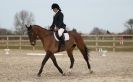 Image 98 in DRESSAGE. ICENI  SPORT  HORSES  AT  MARTHAM