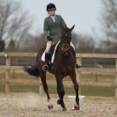 Image 99 in DRESSAGE. ICENI  SPORT  HORSES  AT  MARTHAM