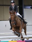 Image 24 in BROADS EC. SHOW JUMPING 1 NOV. 2015