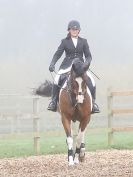 Image 3 in BROADS EC. SHOW JUMPING 1 NOV. 2015