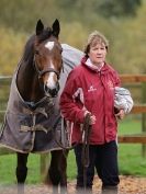 Image 10 in HALESWORTH AND DISTRICT RC. DRESSAGE AT BROADS EC. 7 NOV. 2015.