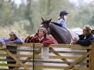 Image 13 in HALESWORTH AND DISTRICT RC. DRESSAGE AT BROADS EC. 7 NOV. 2015.