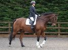 Image 19 in HALESWORTH AND DISTRICT RC. DRESSAGE AT BROADS EC. 7 NOV. 2015.