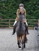 Image 2 in HALESWORTH AND DISTRICT RC. DRESSAGE AT BROADS EC. 7 NOV. 2015.