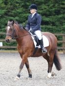 Image 7 in HALESWORTH AND DISTRICT RC. DRESSAGE AT BROADS EC. 7 NOV. 2015.