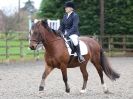 Image 8 in HALESWORTH AND DISTRICT RC. DRESSAGE AT BROADS EC. 7 NOV. 2015.