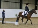 Image 20 in HALESWORTH AND DISTRICT RC. DRESSAGE AT BROADS EC. 7 NOV. 2015.