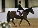 Image 21 in HALESWORTH AND DISTRICT RC. DRESSAGE AT BROADS EC. 7 NOV. 2015.