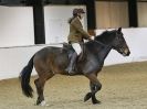 Image 25 in HALESWORTH AND DISTRICT RC. DRESSAGE AT BROADS EC. 7 NOV. 2015.