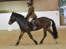 Image 27 in HALESWORTH AND DISTRICT RC. DRESSAGE AT BROADS EC. 7 NOV. 2015.