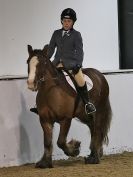 Image 3 in HALESWORTH AND DISTRICT RC. DRESSAGE AT BROADS EC. 7 NOV. 2015.