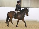 Image 36 in HALESWORTH AND DISTRICT RC. DRESSAGE AT BROADS EC. 7 NOV. 2015.