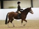 Image 54 in HALESWORTH AND DISTRICT RC. DRESSAGE AT BROADS EC. 7 NOV. 2015.