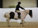 Image 81 in HALESWORTH AND DISTRICT RC. DRESSAGE AT BROADS EC. 7 NOV. 2015.