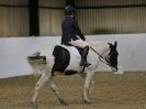 Image 84 in HALESWORTH AND DISTRICT RC. DRESSAGE AT BROADS EC. 7 NOV. 2015.