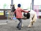 Image 100 in AMANDA BRAHAM. EAST ANGLIAN HORSE AGILITY