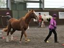 Image 11 in AMANDA BRAHAM. EAST ANGLIAN HORSE AGILITY