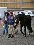 Image 13 in AMANDA BRAHAM. EAST ANGLIAN HORSE AGILITY