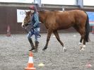 Image 16 in AMANDA BRAHAM. EAST ANGLIAN HORSE AGILITY