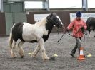 Image 18 in AMANDA BRAHAM. EAST ANGLIAN HORSE AGILITY