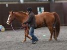 Image 19 in AMANDA BRAHAM. EAST ANGLIAN HORSE AGILITY