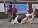 Image 29 in AMANDA BRAHAM. EAST ANGLIAN HORSE AGILITY