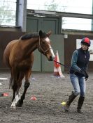 Image 3 in AMANDA BRAHAM. EAST ANGLIAN HORSE AGILITY