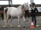 Image 30 in AMANDA BRAHAM. EAST ANGLIAN HORSE AGILITY