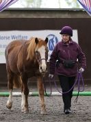 Image 31 in AMANDA BRAHAM. EAST ANGLIAN HORSE AGILITY