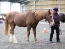 Image 32 in AMANDA BRAHAM. EAST ANGLIAN HORSE AGILITY