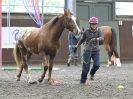 Image 33 in AMANDA BRAHAM. EAST ANGLIAN HORSE AGILITY