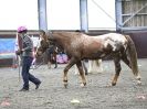 Image 36 in AMANDA BRAHAM. EAST ANGLIAN HORSE AGILITY