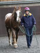 Image 37 in AMANDA BRAHAM. EAST ANGLIAN HORSE AGILITY