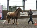 Image 38 in AMANDA BRAHAM. EAST ANGLIAN HORSE AGILITY