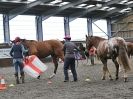 Image 39 in AMANDA BRAHAM. EAST ANGLIAN HORSE AGILITY