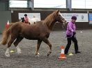 Image 4 in AMANDA BRAHAM. EAST ANGLIAN HORSE AGILITY