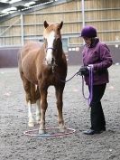 Image 50 in AMANDA BRAHAM. EAST ANGLIAN HORSE AGILITY