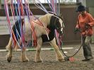 Image 52 in AMANDA BRAHAM. EAST ANGLIAN HORSE AGILITY