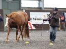 Image 53 in AMANDA BRAHAM. EAST ANGLIAN HORSE AGILITY