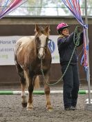 Image 54 in AMANDA BRAHAM. EAST ANGLIAN HORSE AGILITY