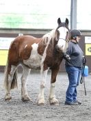 Image 59 in AMANDA BRAHAM. EAST ANGLIAN HORSE AGILITY