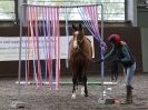 Image 6 in AMANDA BRAHAM. EAST ANGLIAN HORSE AGILITY