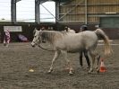 Image 60 in AMANDA BRAHAM. EAST ANGLIAN HORSE AGILITY