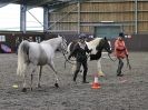 Image 61 in AMANDA BRAHAM. EAST ANGLIAN HORSE AGILITY